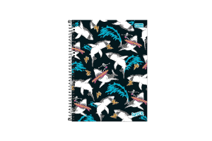 CADERNO CD UNIVERSITÁRIO TILIBRA SPICE 10 MATÉRIAS 160 FOLHAS