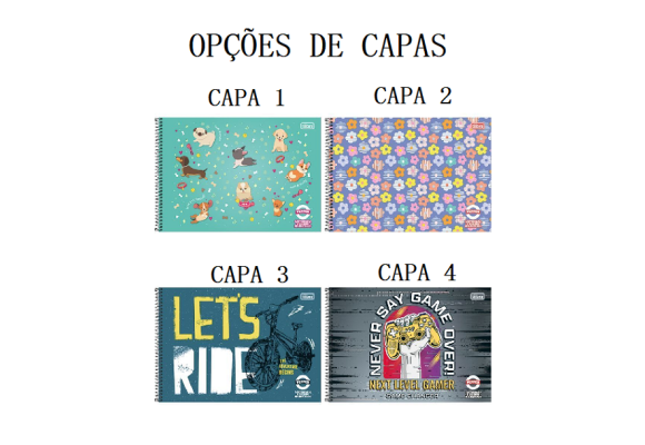 https://colegiomaia.papelariapremium.com.br/image/cache/data/eftr/Img_ftr_rp_395601-580x400.PNG