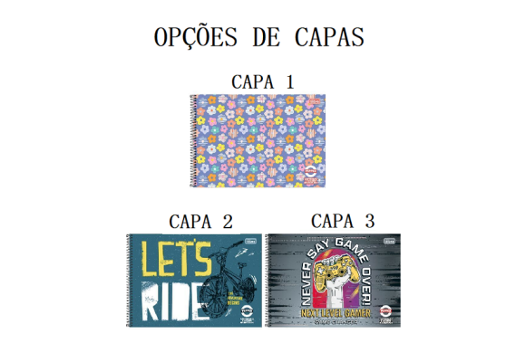 https://colegiomaia.papelariapremium.com.br/image/cache/data/eftr/Img_ftr_rp_395701-580x400.PNG