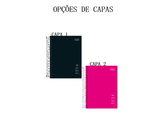 https://colegiomaia.papelariapremium.com.br/image/cache/data/eftr/Img_ftr_rp_409301-580x400.PNG