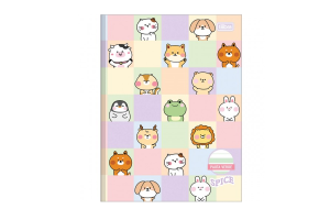 CADERNO BROCH CD CALIGRAFIA PAUTA VERDE SPICE 40FLS